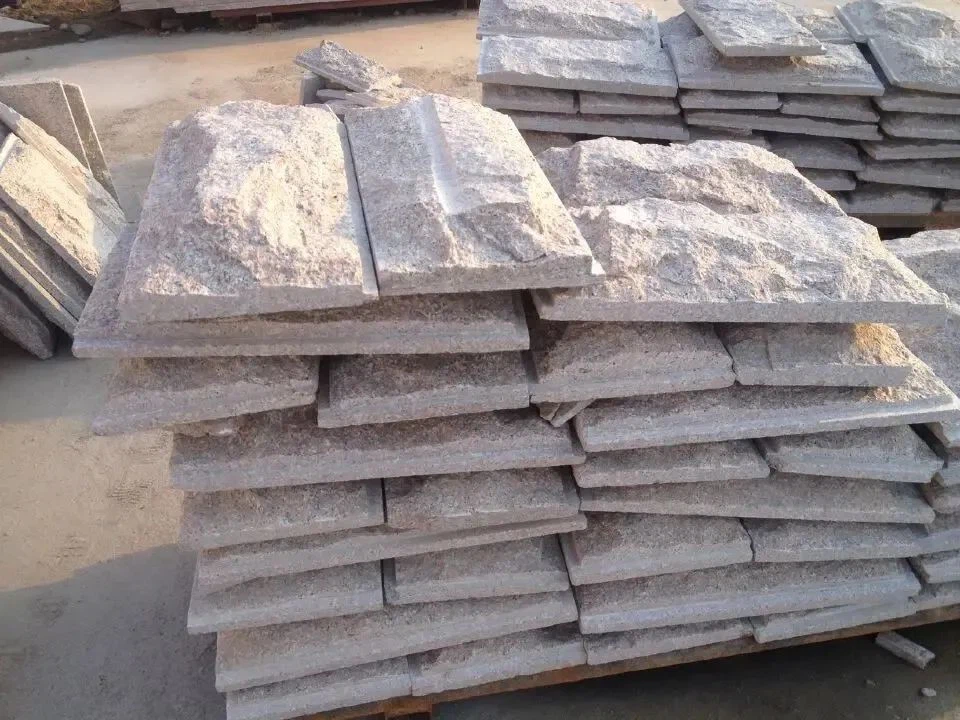 natural mushroom stone (3)